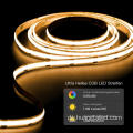 RGB -LED -LED -Lampe -Cob -Streifenleuchte RGB